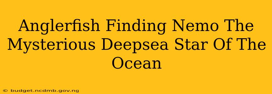Anglerfish Finding Nemo The Mysterious Deepsea Star Of The Ocean