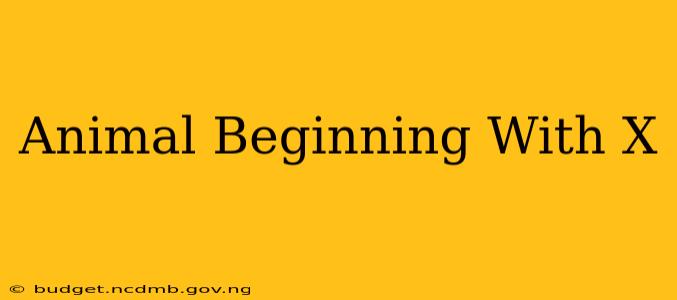 Animal Beginning With X