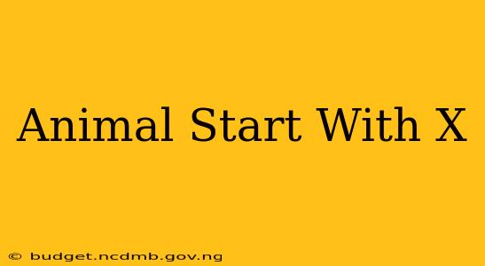 Animal Start With X