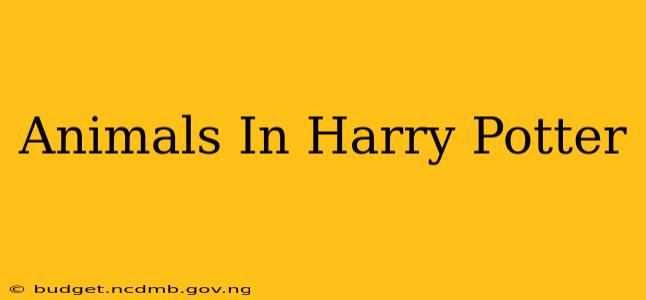 Animals In Harry Potter