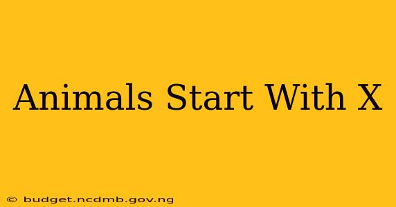Animals Start With X