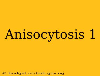Anisocytosis 1