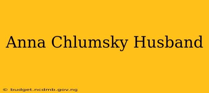 Anna Chlumsky Husband
