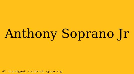 Anthony Soprano Jr
