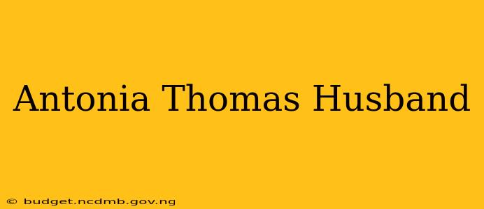 Antonia Thomas Husband
