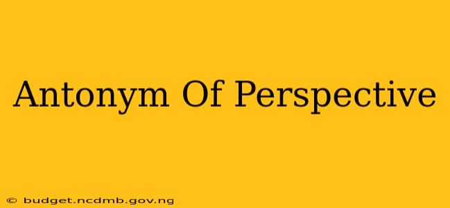 Antonym Of Perspective