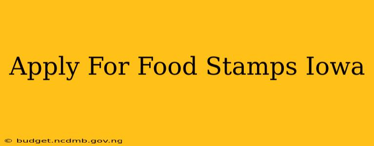 Apply For Food Stamps Iowa