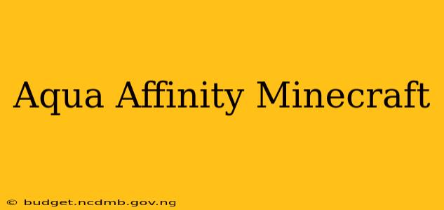 Aqua Affinity Minecraft