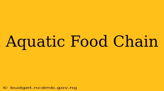 Aquatic Food Chain