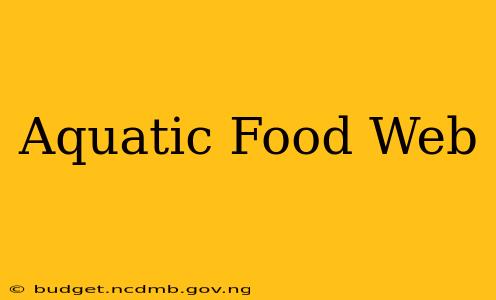 Aquatic Food Web