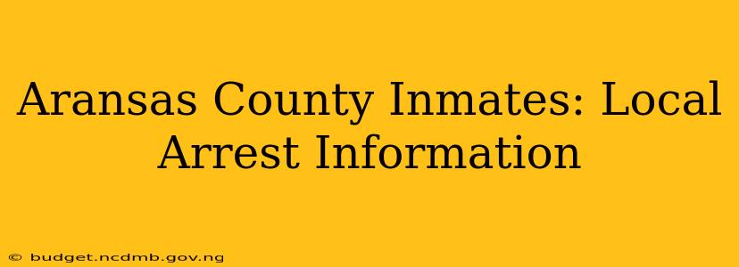 Aransas County Inmates: Local Arrest Information
