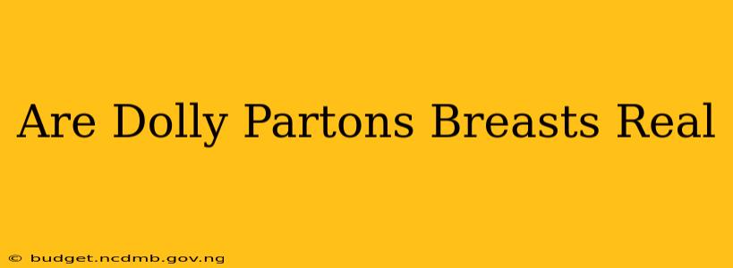 Are Dolly Partons Breasts Real