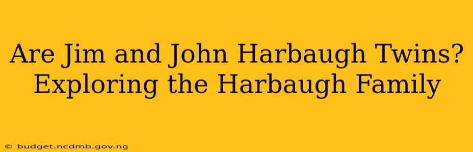 Are Jim and John Harbaugh Twins? Exploring the Harbaugh Family