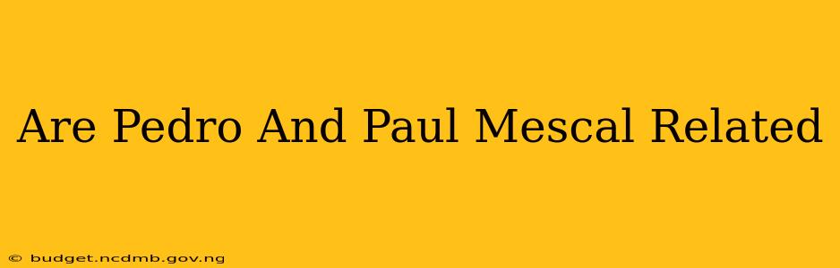 Are Pedro And Paul Mescal Related