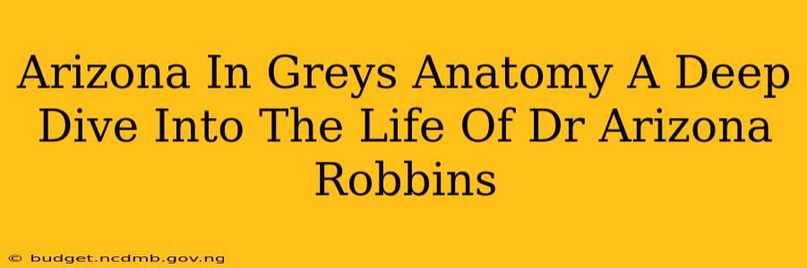 Arizona In Greys Anatomy A Deep Dive Into The Life Of Dr Arizona Robbins