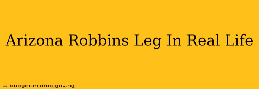 Arizona Robbins Leg In Real Life
