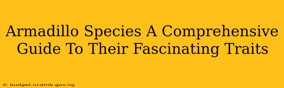 Armadillo Species A Comprehensive Guide To Their Fascinating Traits