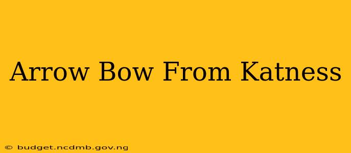 Arrow Bow From Katness