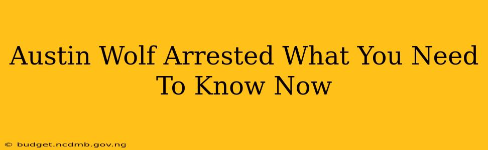 Austin Wolf Arrested What You Need To Know Now