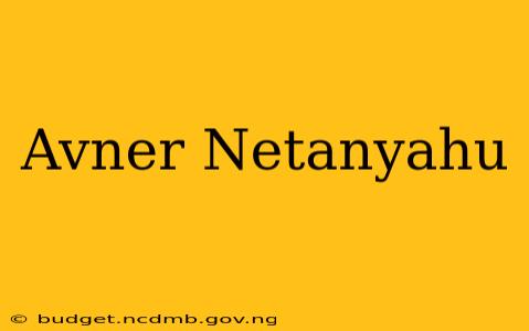 Avner Netanyahu