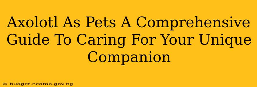 Axolotl As Pets A Comprehensive Guide To Caring For Your Unique Companion