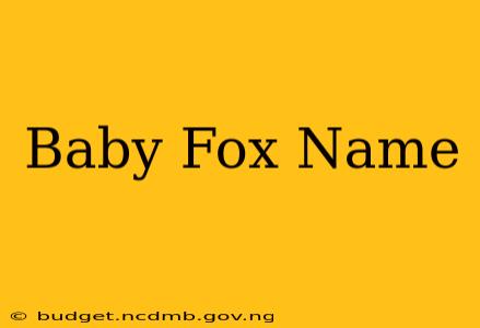 Baby Fox Name
