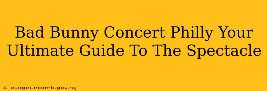 Bad Bunny Concert Philly Your Ultimate Guide To The Spectacle