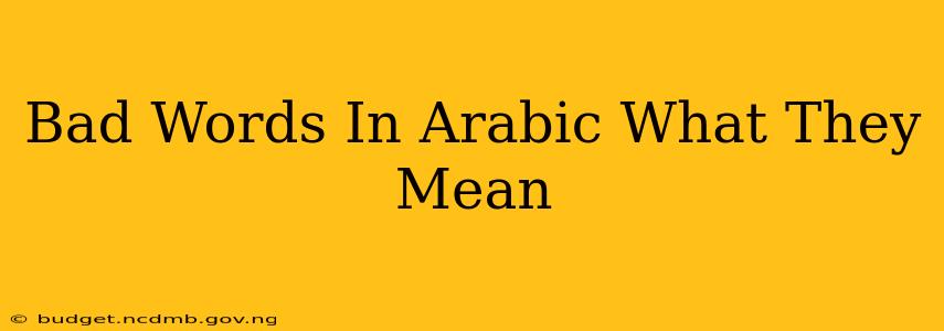 Bad Words In Arabic What They Mean