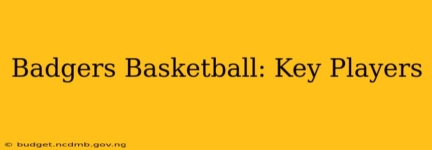 Badgers Basketball: Key Players