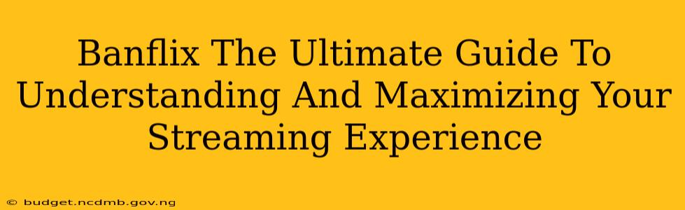 Banflix The Ultimate Guide To Understanding And Maximizing Your Streaming Experience