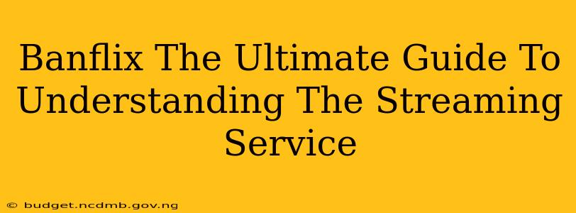 Banflix The Ultimate Guide To Understanding The Streaming Service