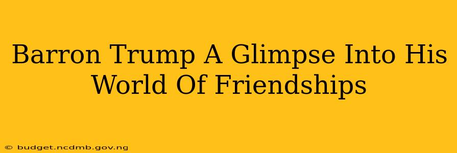 Barron Trump A Glimpse Into His World Of Friendships