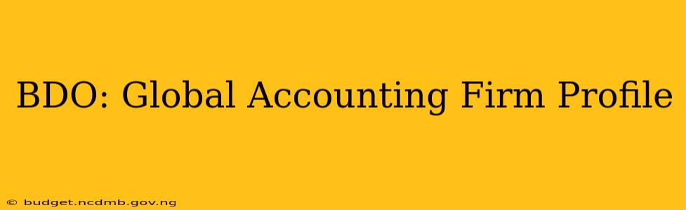 BDO: Global Accounting Firm Profile