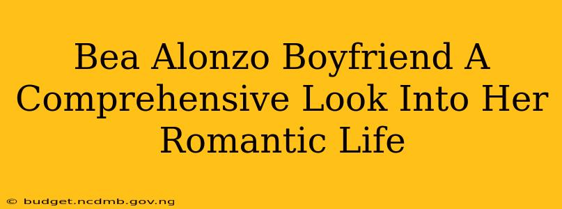 Bea Alonzo Boyfriend A Comprehensive Look Into Her Romantic Life