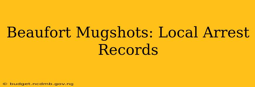 Beaufort Mugshots: Local Arrest Records