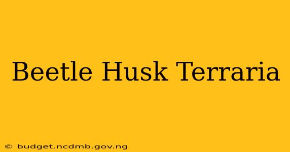 Beetle Husk Terraria
