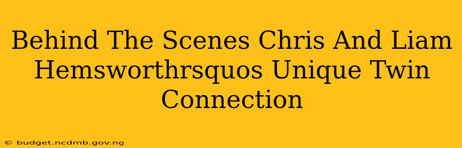 Behind The Scenes Chris And Liam Hemsworthrsquos Unique Twin Connection