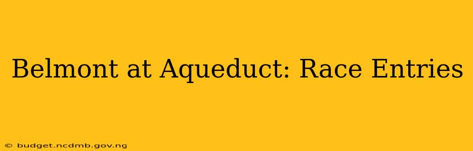 Belmont at Aqueduct: Race Entries