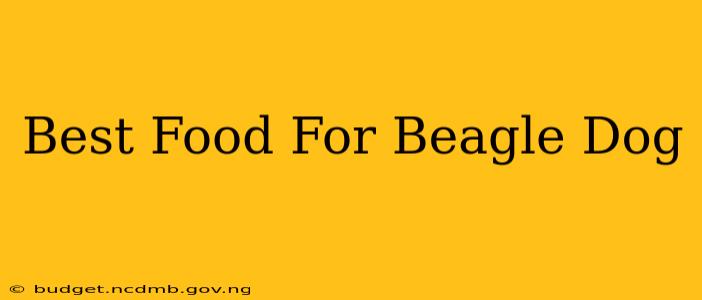 Best Food For Beagle Dog