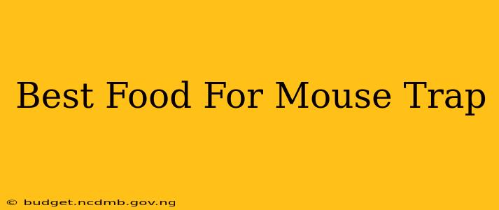Best Food For Mouse Trap