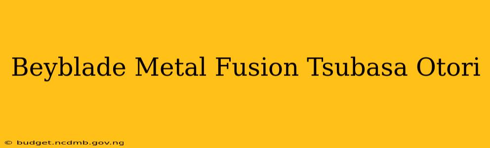 Beyblade Metal Fusion Tsubasa Otori