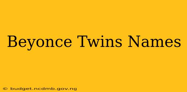 Beyonce Twins Names