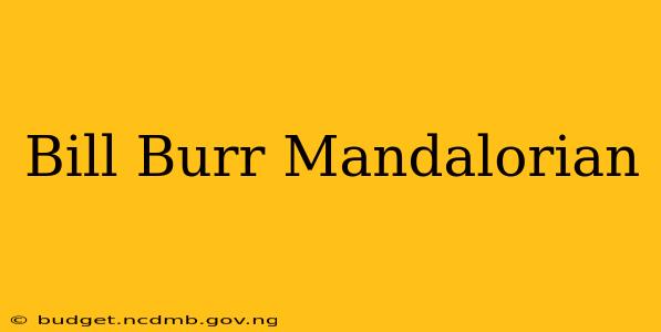 Bill Burr Mandalorian