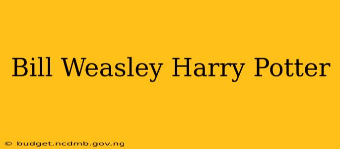 Bill Weasley Harry Potter