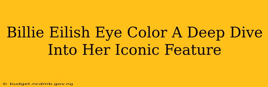 Billie Eilish Eye Color A Deep Dive Into Her Iconic Feature