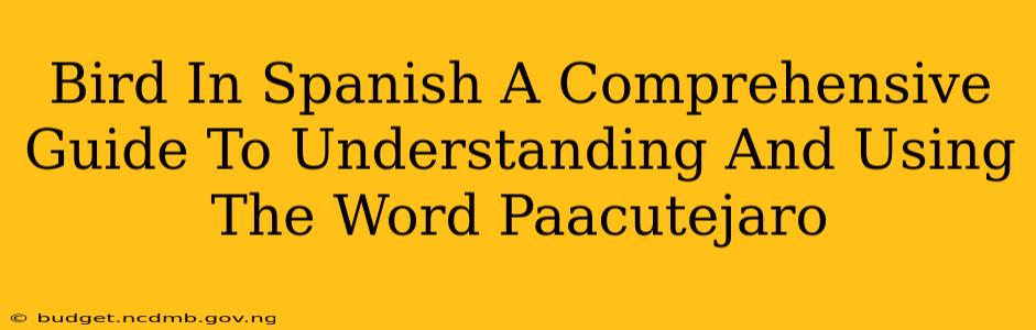 Bird In Spanish A Comprehensive Guide To Understanding And Using The Word Paacutejaro