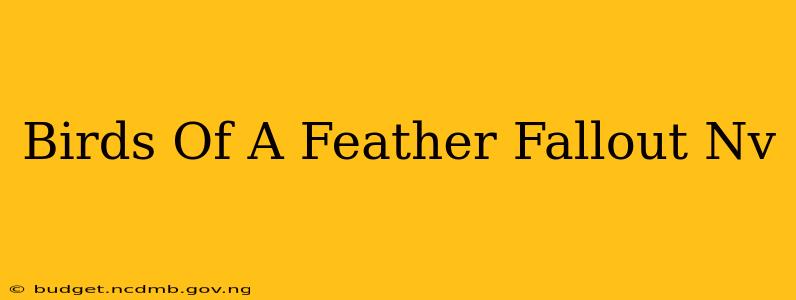 Birds Of A Feather Fallout Nv