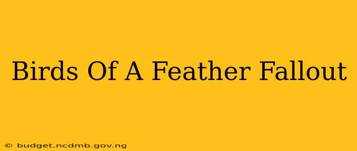 Birds Of A Feather Fallout