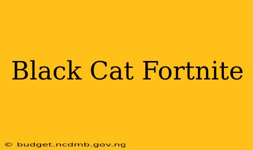 Black Cat Fortnite