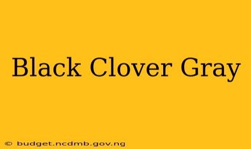 Black Clover Gray